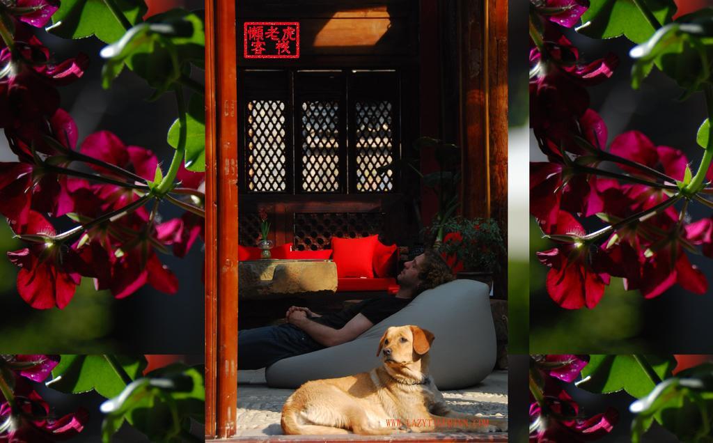 Lazy Tiger Inn Lệ Giang Ngoại thất bức ảnh